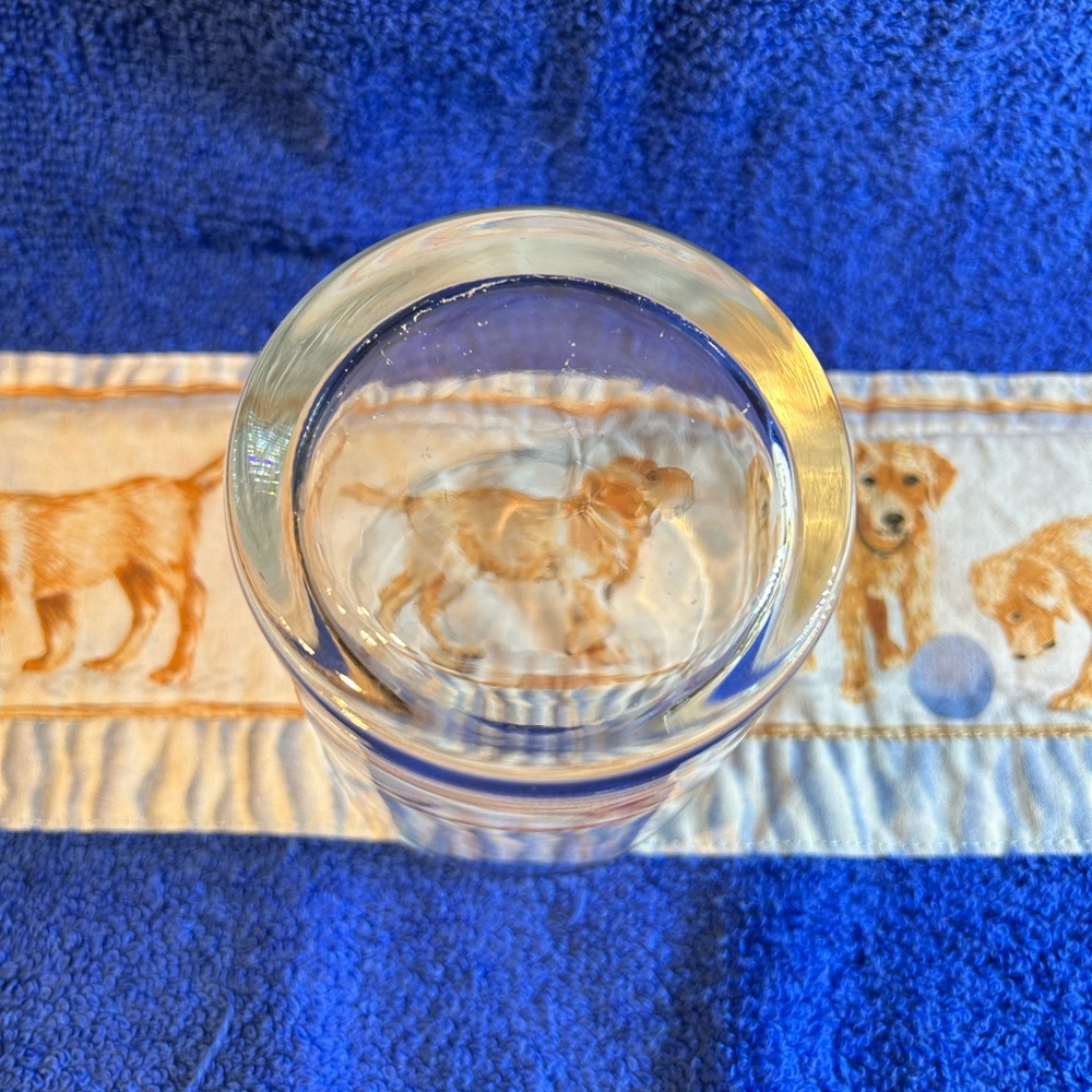 Lowball (Rocks) Glasses - Picture 6 of 10